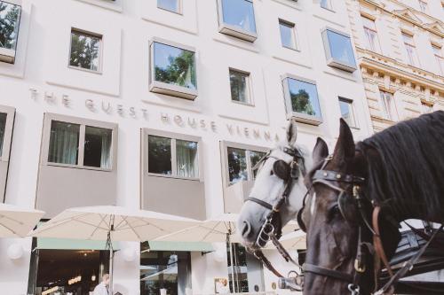 The Guesthouse Vienna - main image