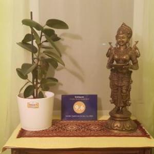 Garden Apartment Donau-City (P&R)