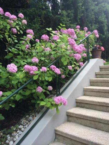 Exquisites Gartenapartment in eleganter Jugendstilvilla - image 6