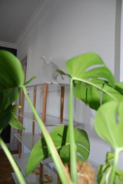 my Home in Vienna - Margareten Smart Apartments - image 15