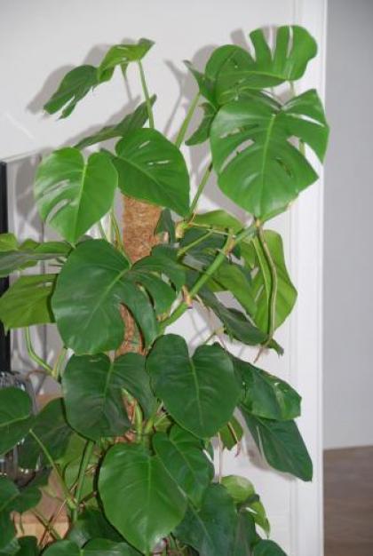 my Home in Vienna - Margareten Smart Apartments - image 19