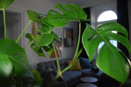 my Home in Vienna - Margareten Smart Apartments - image 20