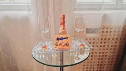 Elegance Wien - image 4