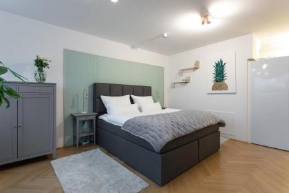 Apartment in Vienna 