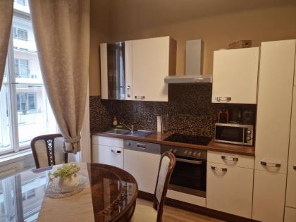 Urban Downtown City Center Apartments - image 7