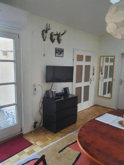 Appartement in Alservorstadt mit Garten - image 10